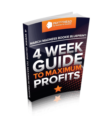4 Week Guide To Maximum Profits