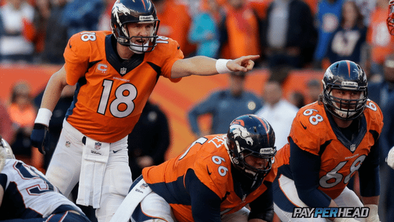 NFL Week 12 Most Profitable Bets for Online Bookies