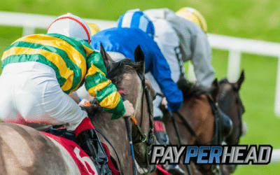 Pay Per Head Preview: The Road To The Kentucky Derby