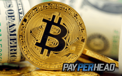 Pay Per Head Tips: 5 Ways To Get Your Players Using Bitcoin