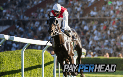 Pay Per Head Tips: Turn Your Racebook Into Straight Profit