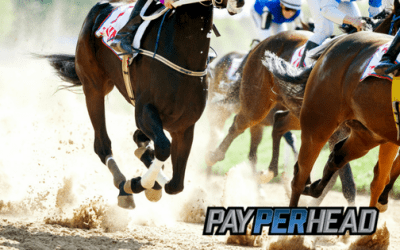 See More Horse Race Betting With The Kentucky Derby Prep Races