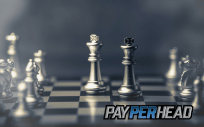 Pay Per Head Tips and Strategies To Put Into Action Now