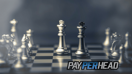 Pay Per Head Strategies To Use Now