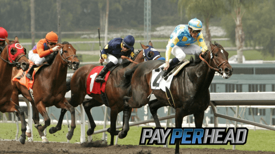 Racebook Tips: How Derby Points Can Affect The Stakes in Your Book