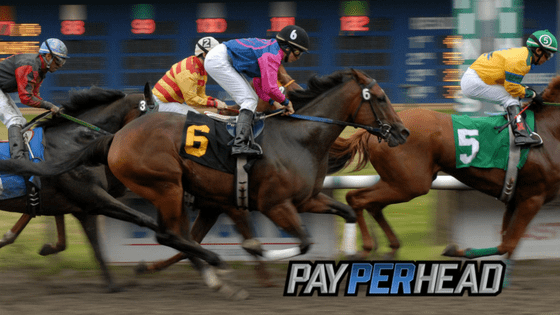Horse Betting 101: Brush Up on Popular Horse Bets in Your Book