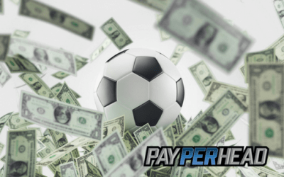 Online Bookie Playbook: Soccer Betting & FIFA World Cup Betting Basics