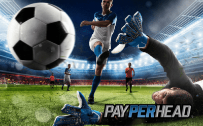 FIFA Quarterfinals Update: Strategically Increase Sportsbook Profits