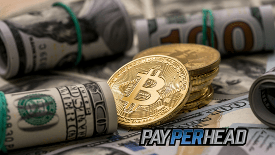 Bitcoin is Booming in Sports Betting Industry, Says Payperhead.com