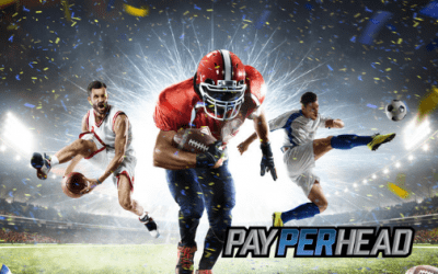 Premium PPH Tools To Increase NFL Week 2 Betting Profits