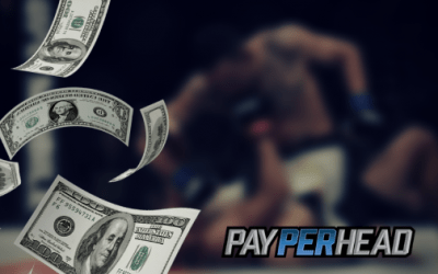 3 Strategies Bookies Can Use to Increase UFC 229 Betting Action